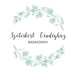 Szoloskert Vendeghaz Badacsony 別荘 バダチョニトマイ