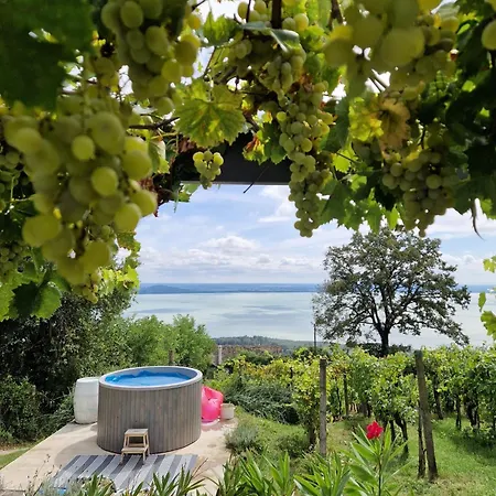 Szoloskert Vendeghaz Badacsony Tatil Evi Badacsonytomaj